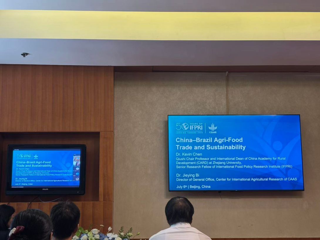 Presentation on China–Brazil agri-food trade and sustainability. Photo: IFPRI.